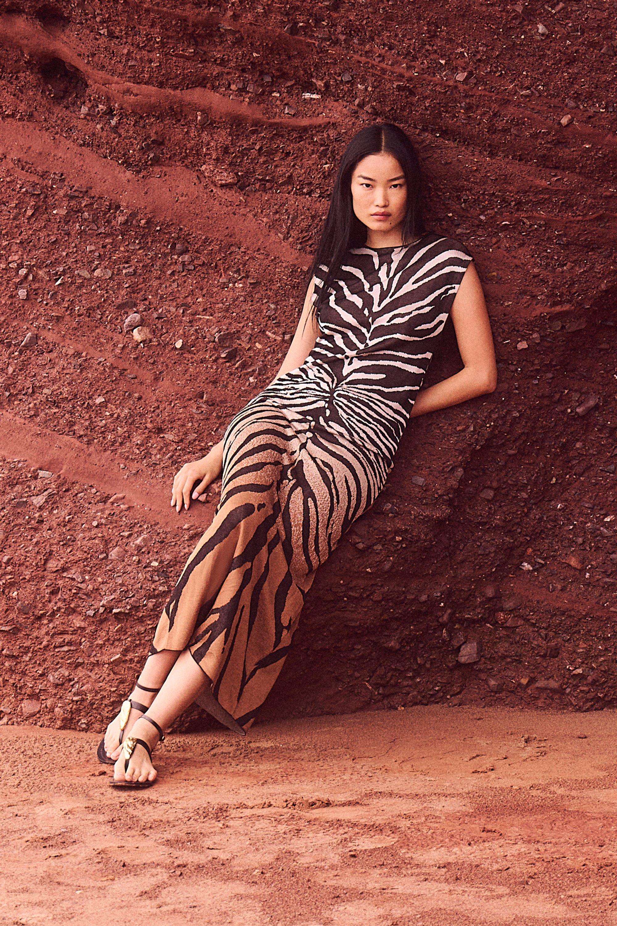 Petite Jacquard Zebra Print Slinky Maxi Dress - Brown
