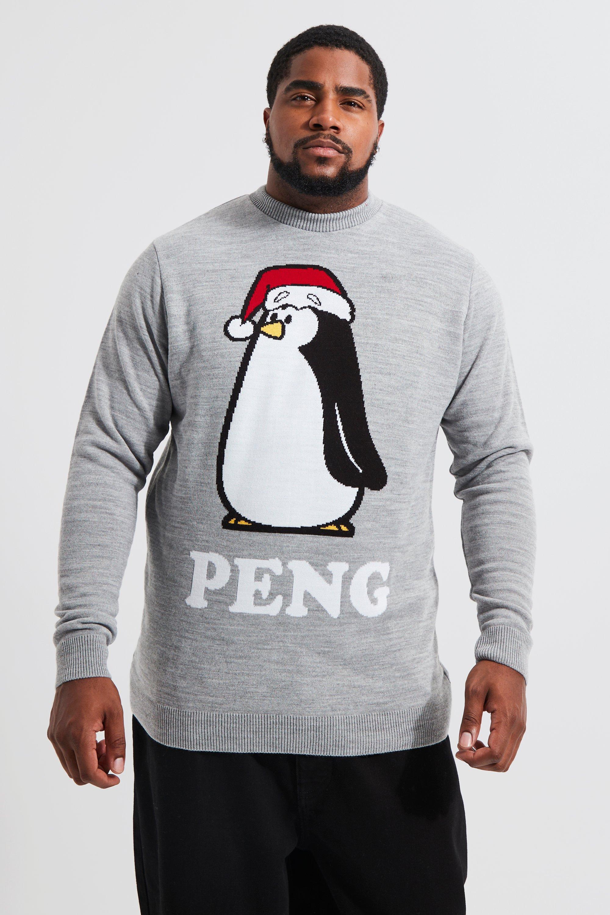 Image of Novità - Maglione natalizio Plus Size con pinguino, Grigio
