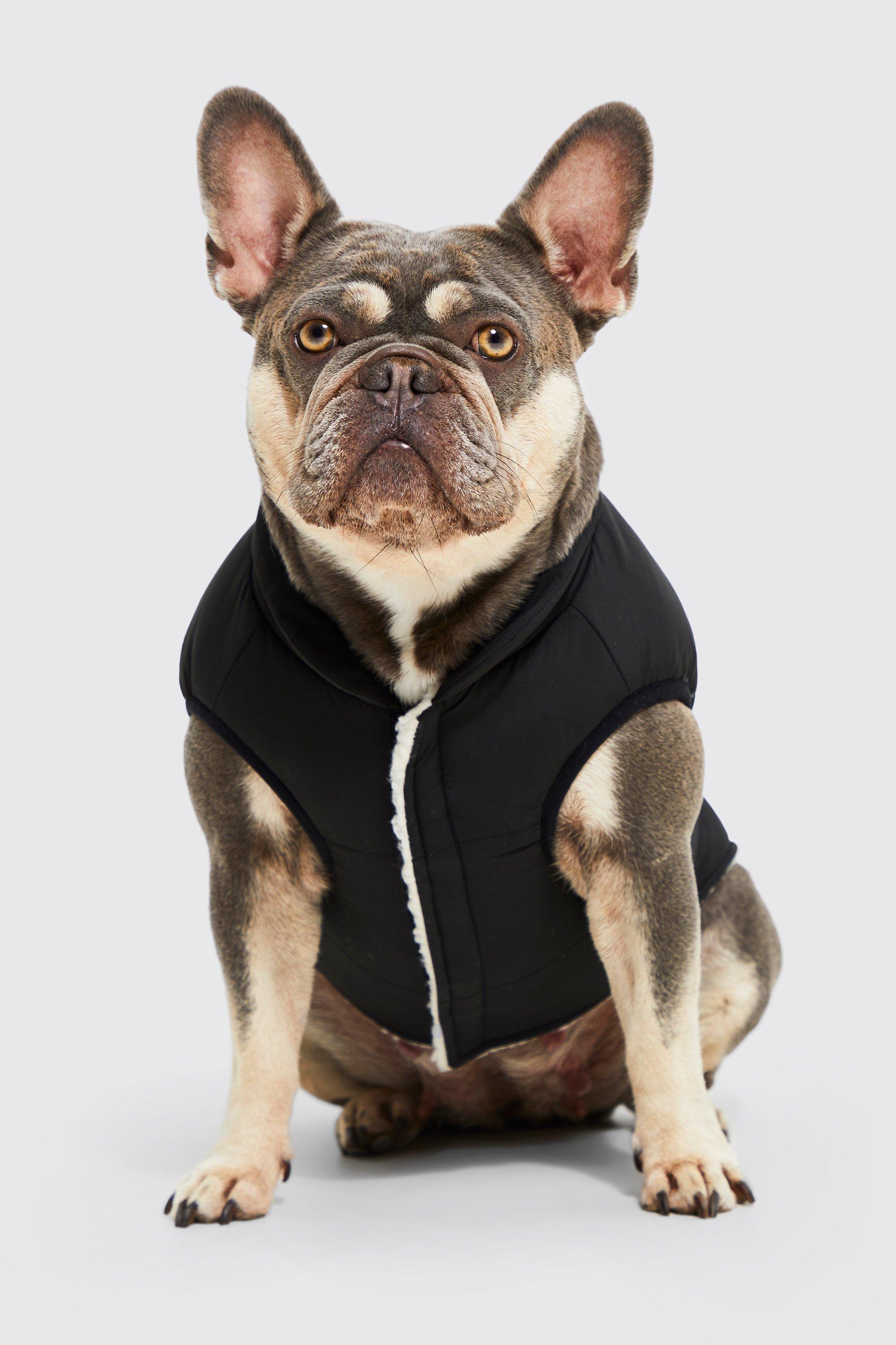 men's boohooman reversible borg dog coat - black - s, black