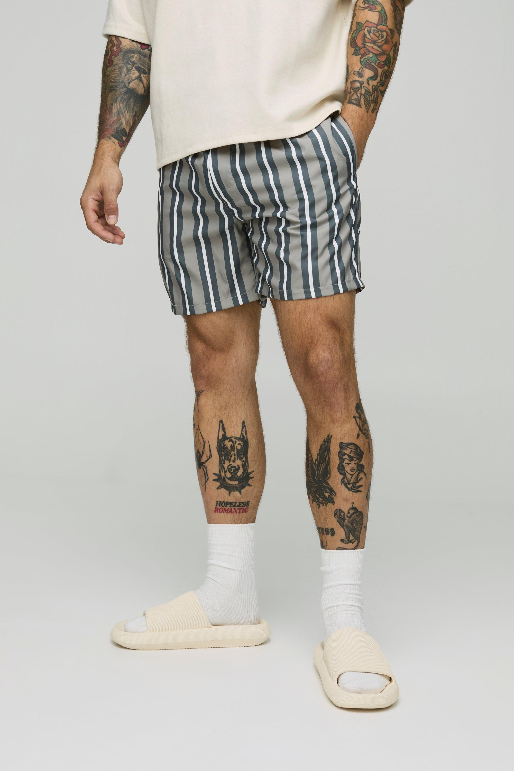 Mens Grey Regular Mid Length Stripe Swim Short, Grey