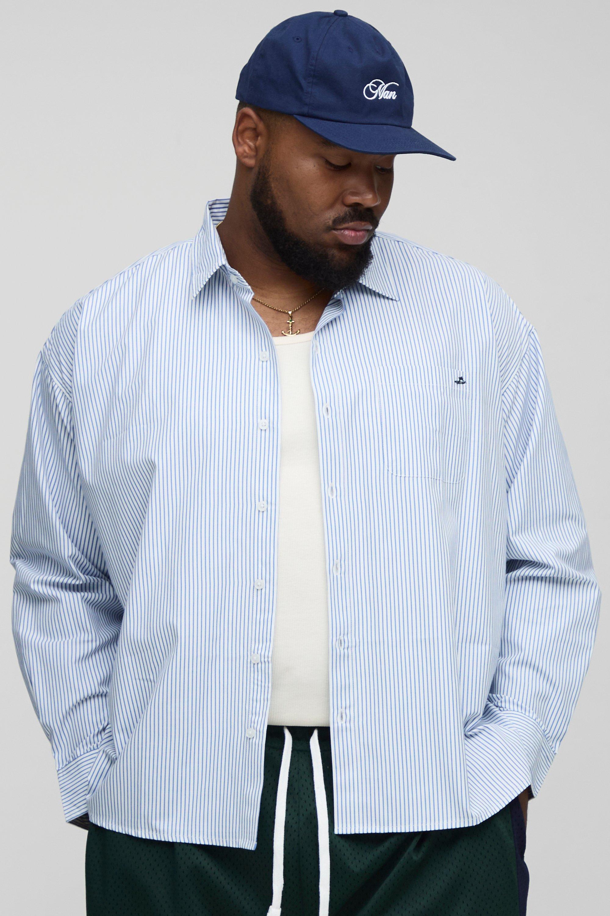 Image of Plus Stripe Oversized Long Sleeve Embroidered Shirt, Azzurro