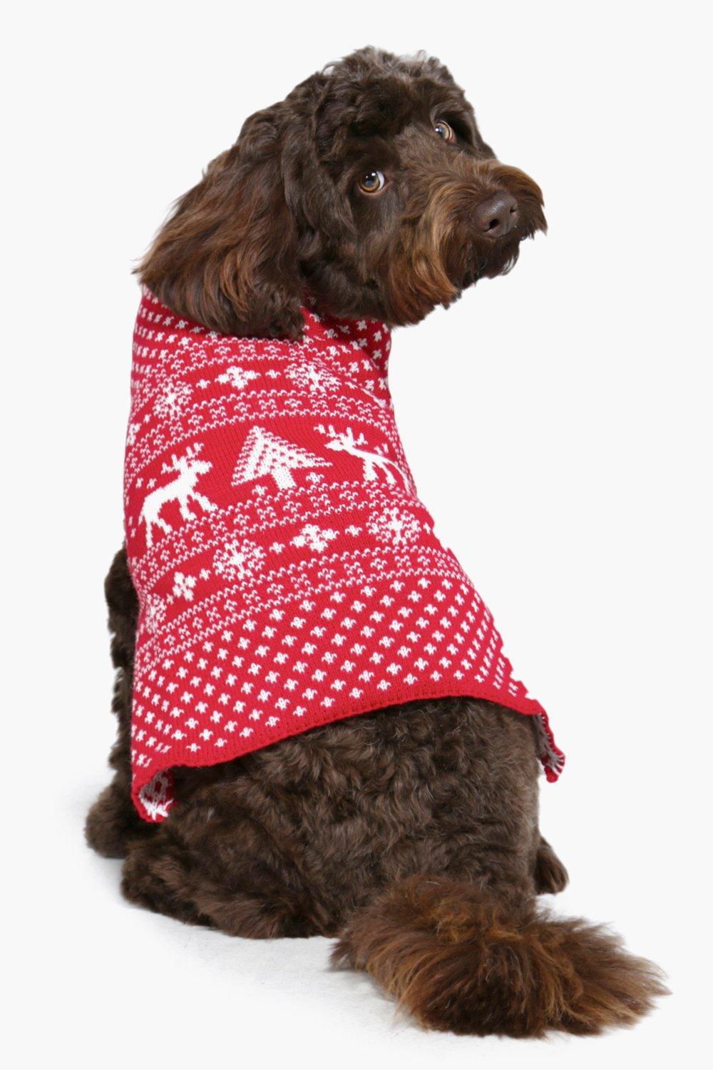 Image result for Snoopy Fairisle Christmas Dog Jumper boohoo