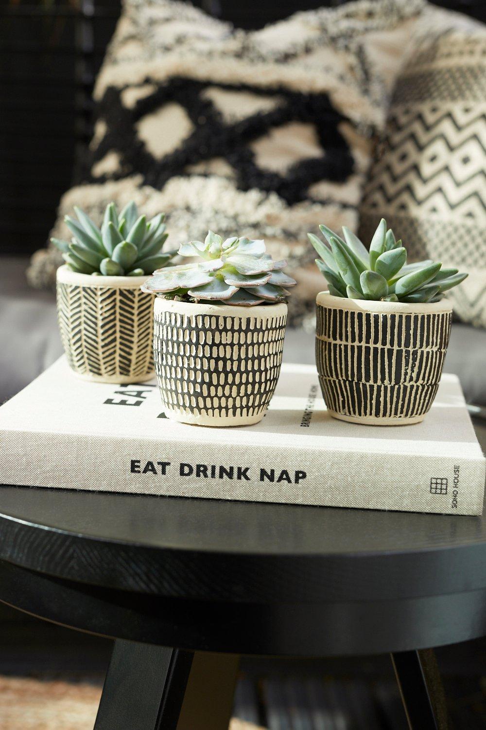 Lot De 3 Mini Pots De Plantes Style Bohème Scandi - Noir - One Size, Noir