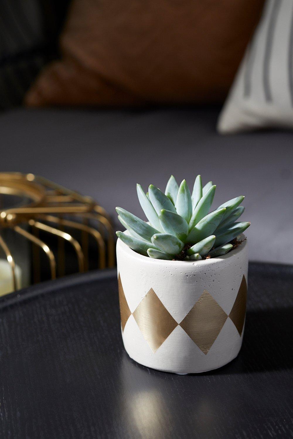 Mini Pot À Plantes Style Cimenté Et Doré - Jaune Or - One Size, Jaune Or