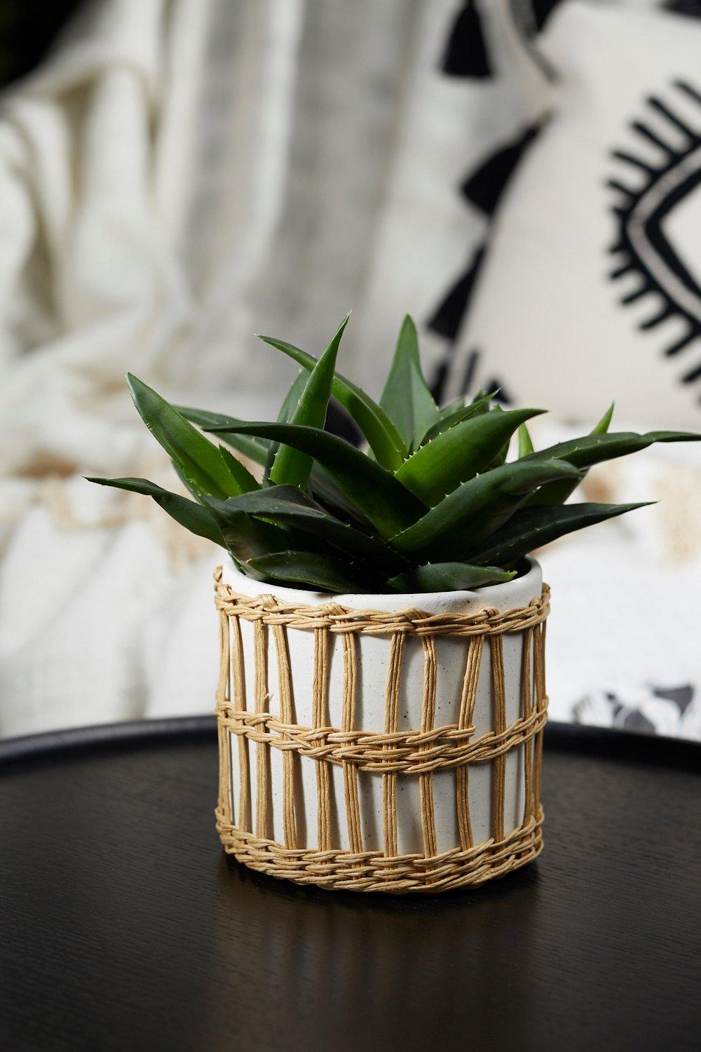 Pot Pour Plantes Style Panier Tressé - Blanc - One Size, Blanc