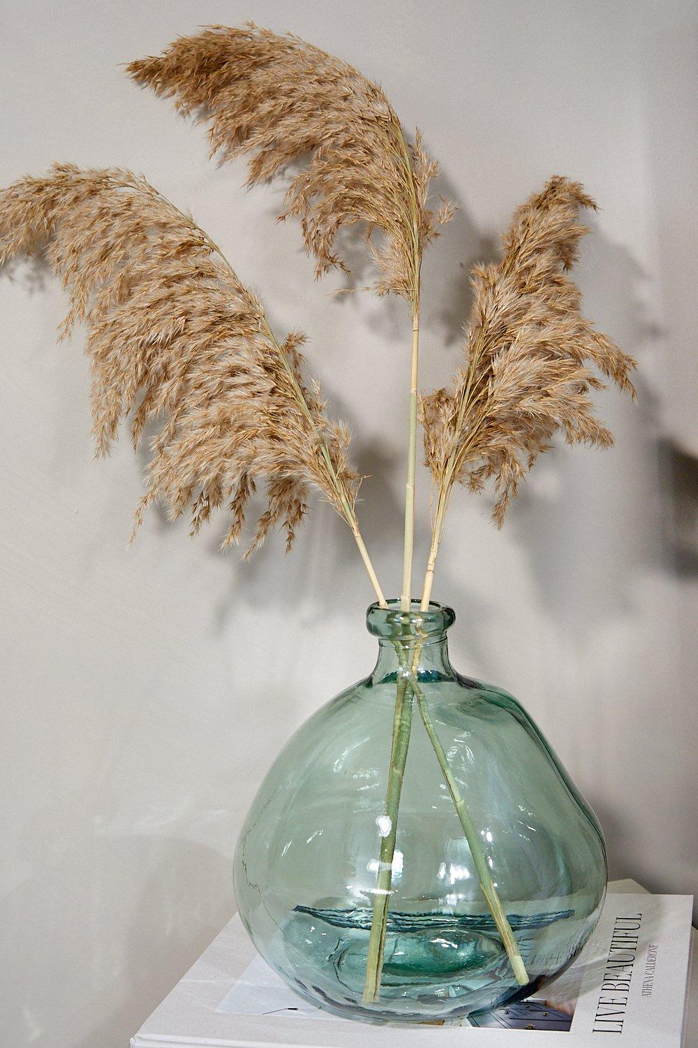 The Dried Flower Collection - 3 Tiges De Fleurs Séchées Style Pampa - Blanc - One Size, Blanc