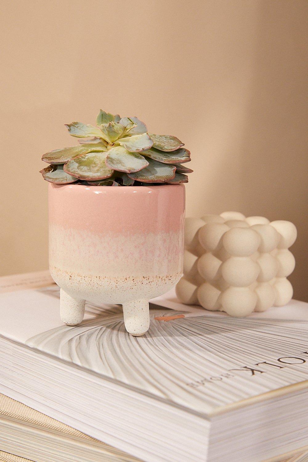 Pot De Fleurs Rose Glaze Mojave - Taille Unique, Rose