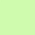 neon lime sport loop