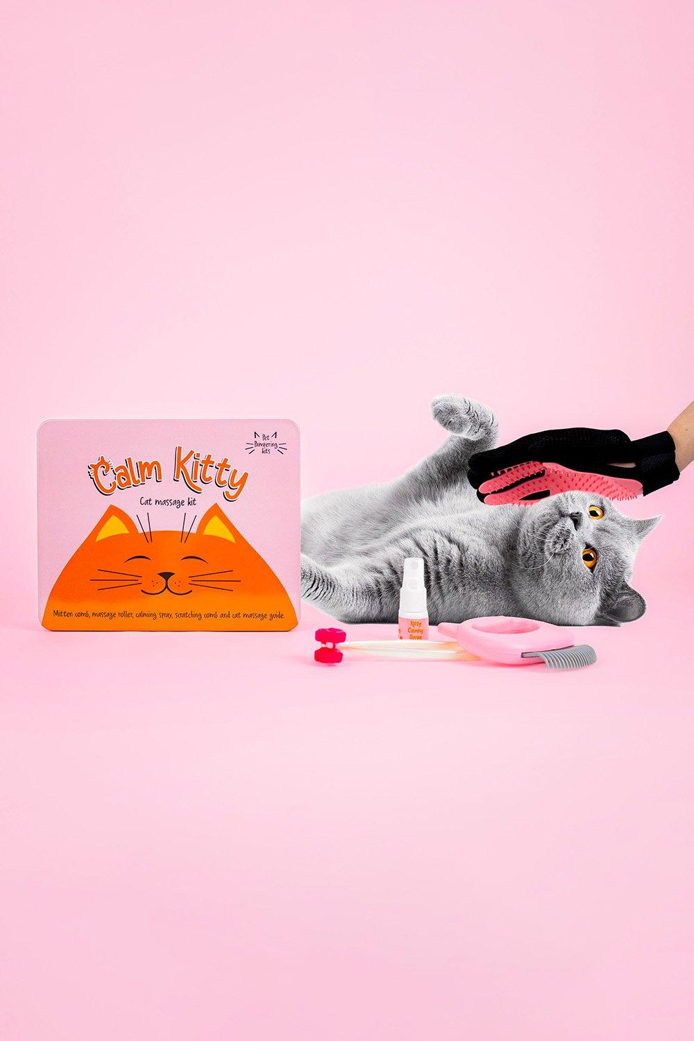 Calm Kitty Cat Massage Kit