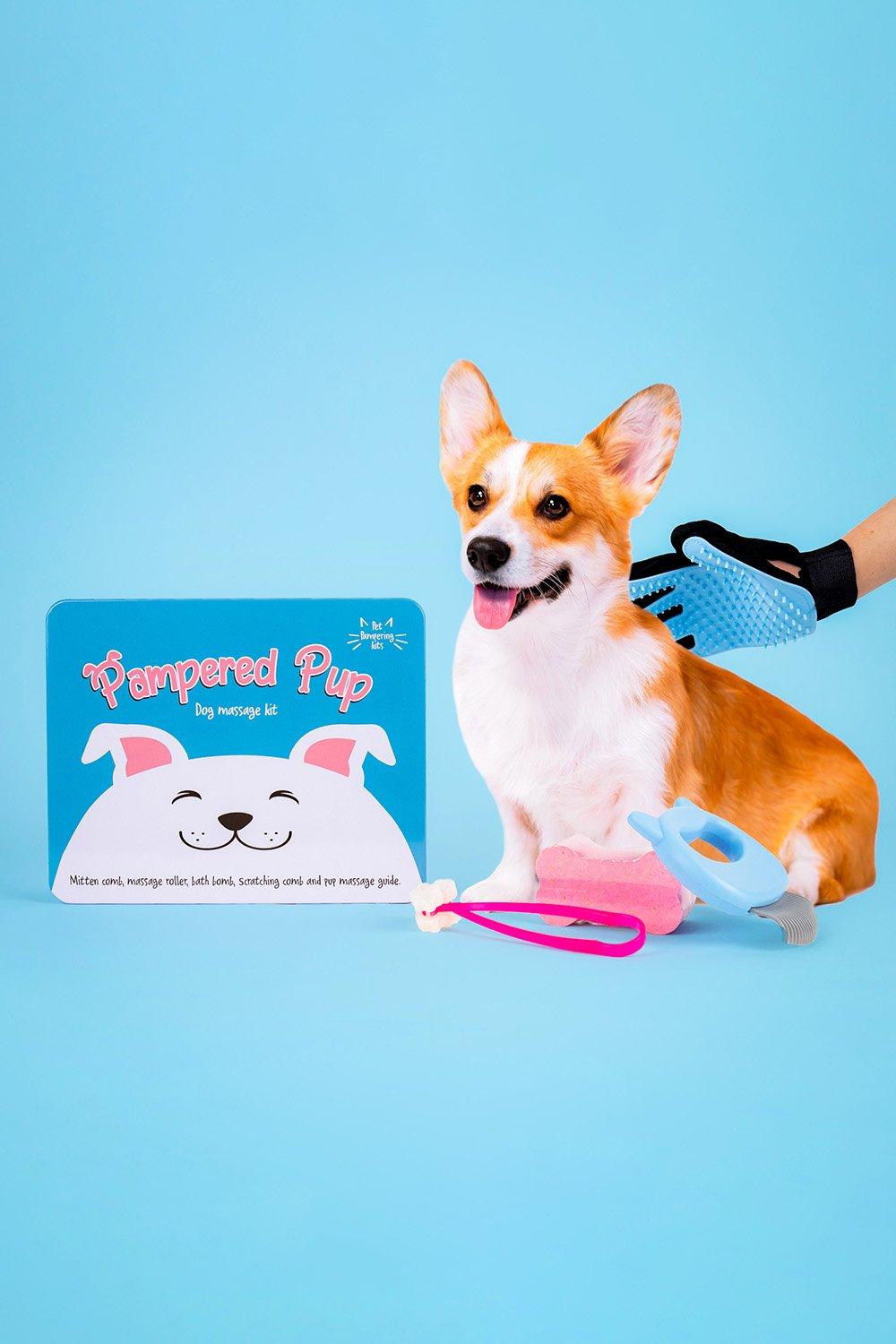 Pampered Pup Dog Massage Kit