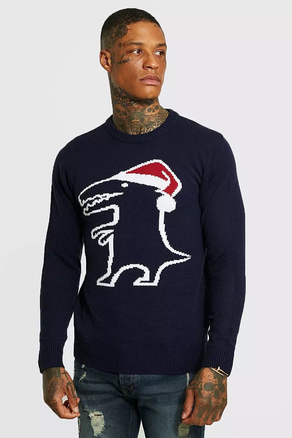 Dino christmas sweater new arrivals