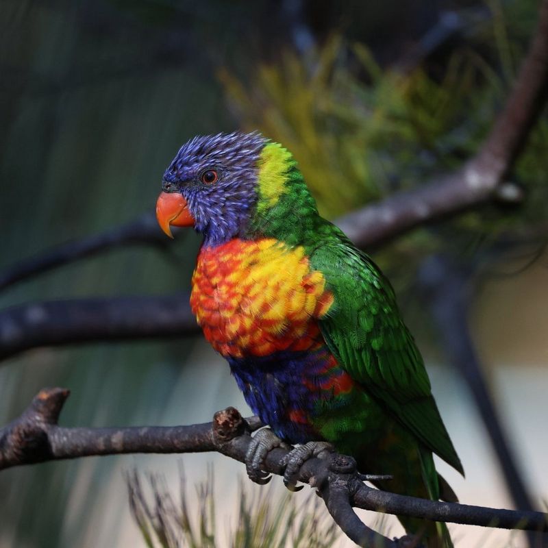 ecom-dep-page-lenses-telephoto-banner-800-cs