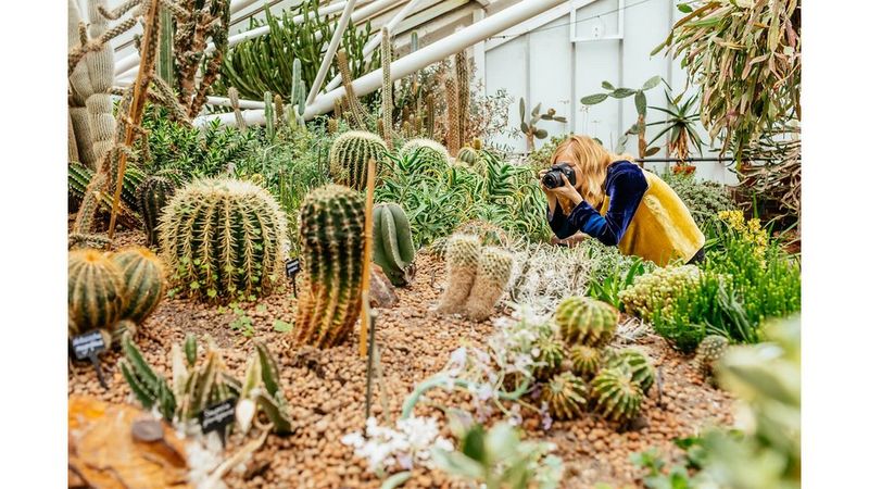 Canon Eos 4000d Review Trusted Reviews