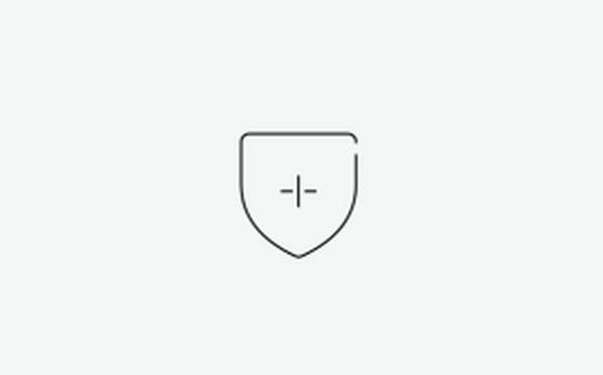 Icon of a data protection shield to show robust security.