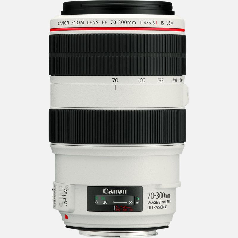 Canon EF 70-300mm f/4-5.6L IS USM Lens