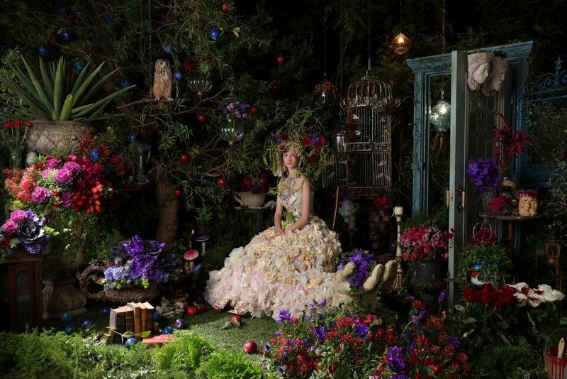 Canon EOS 5DS R Body Artistic Photo Shoot Of A Woman