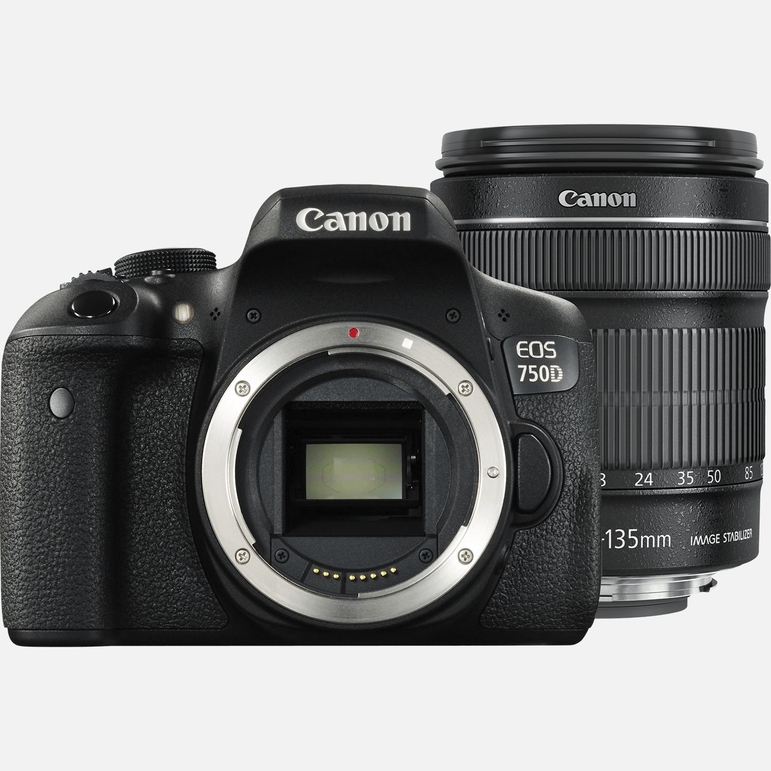 Buy Canon EOS 750D + EF-S 18-135mm IS STM Lens in Wi-Fi Cameras — Canon  Danmark Store