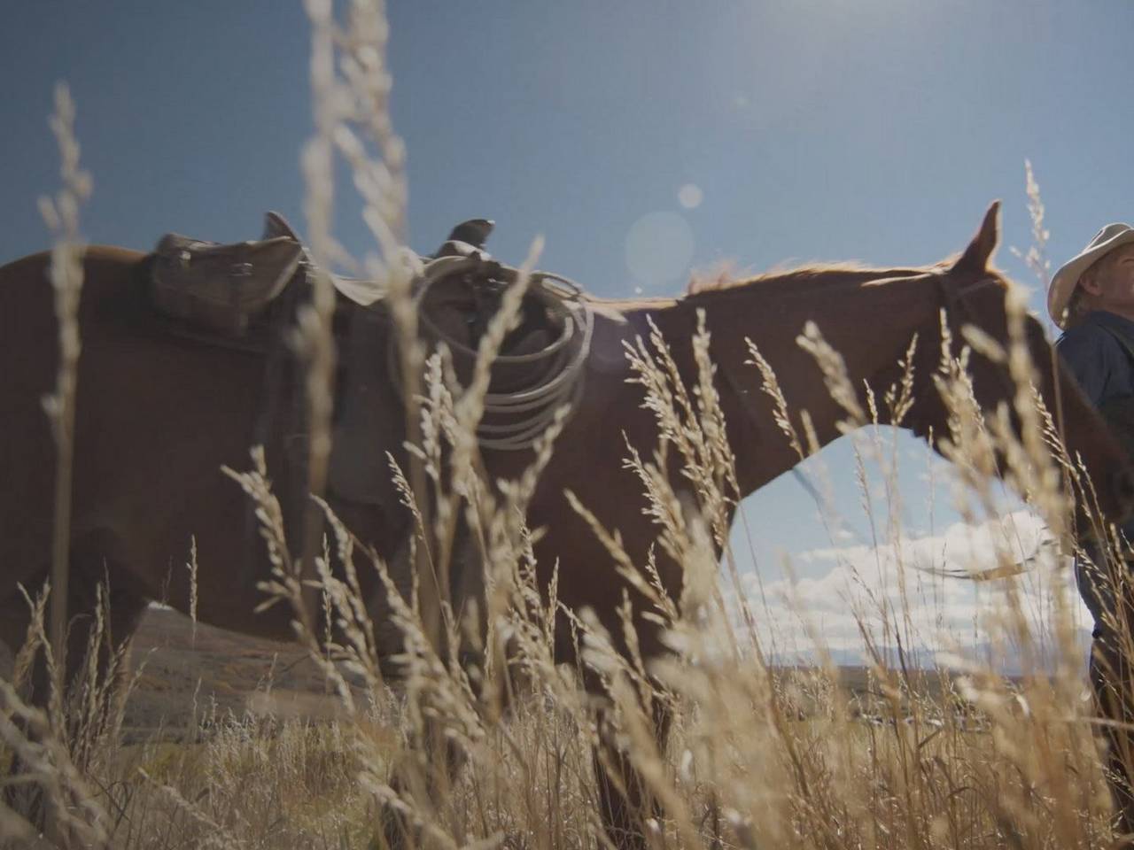 Outstanding image quality