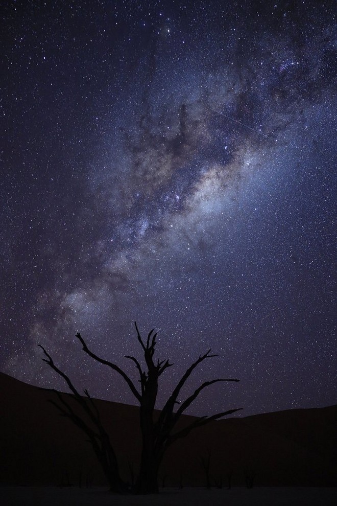 A Via Láctea no céu noturno com a silhueta de uma árvore morta em primeiro plano.