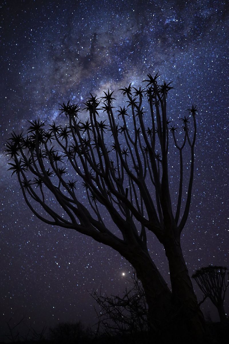 Photographier un ciel étoilé - Les Numériques