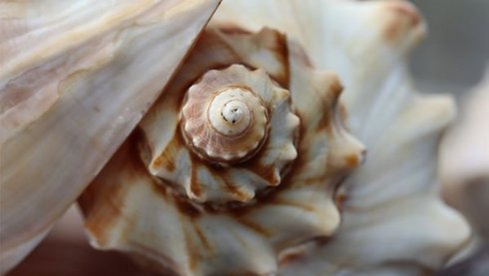 10 tips for better travel photography