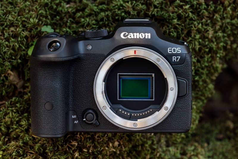 Canon EOS R7 - Wikipedia