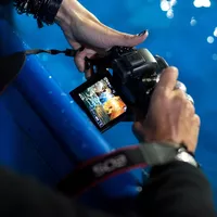 Canon EOS M5 Black body Using the Camera by the Water Feature
