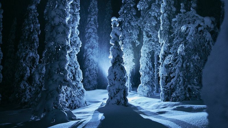1920x1080_Banner_WINTER_CB
