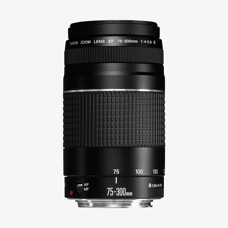 EF 75-300mm f/4-5.6 III