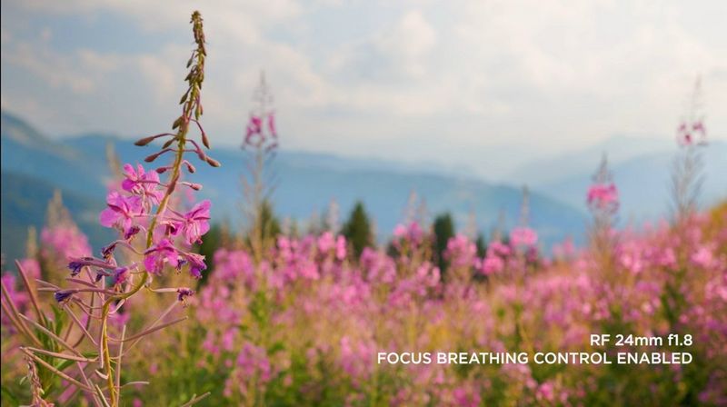 Canon EOS R6 Mark II - Focus Breathing