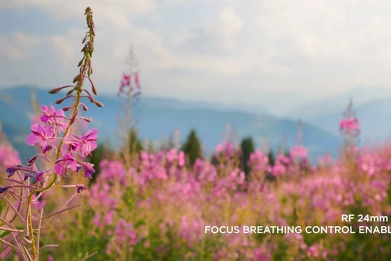 Canon EOS R6 Mark II - Focus Breathing
