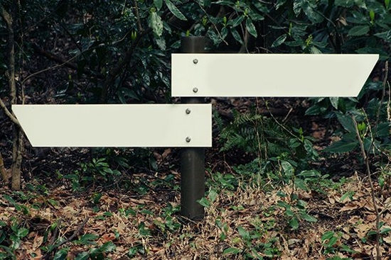 Sign posts in forest