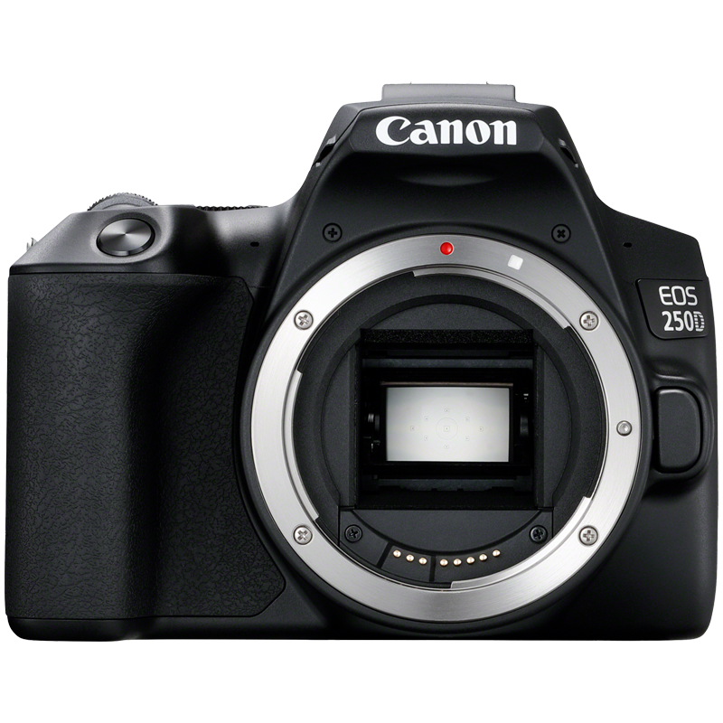 Canon Camera