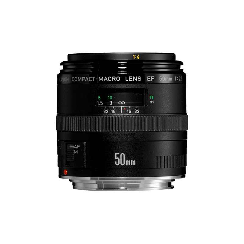 Canon EF 50mm f/2.5 Compact Macro - Lenses - Camera & Photo lenses