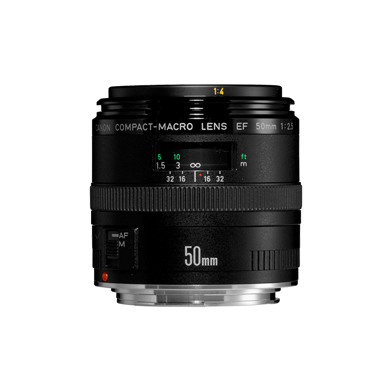 限定OFF超美品　キャノン EF 50mm f/2.5 Macro 単焦点レンズ レンズ(単焦点)