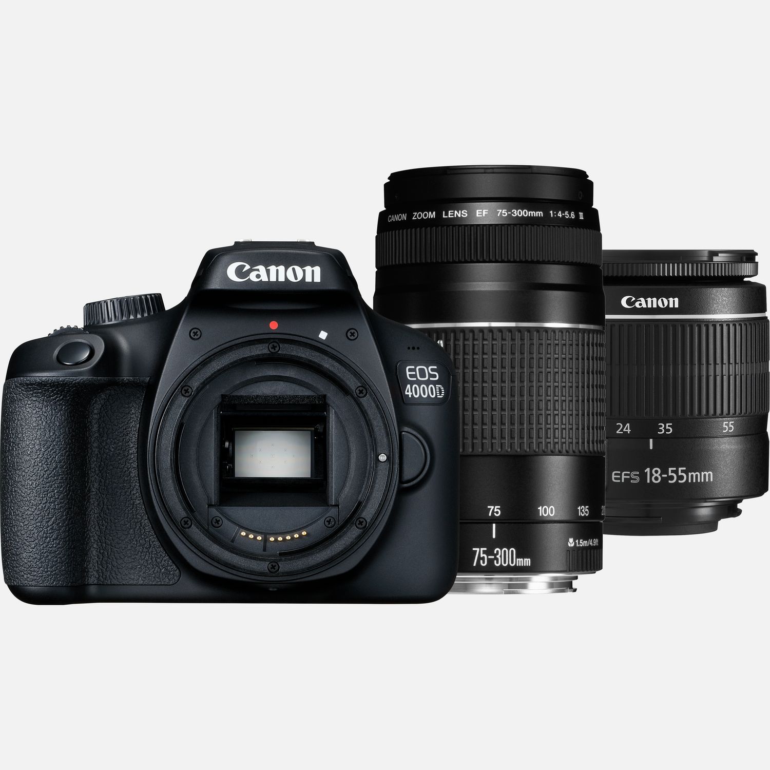Appareil photo Canon Appareil photo reflex EOS 4000D + objectif EF-S 18-55mm III + objectif EF-S 75-