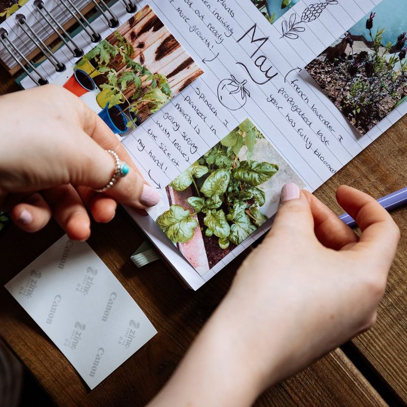 Canon ZINK™ 5 x 7,6 cm Photo Paper x20 ark Bilde som viser et bilde som blir limt inn i en bok