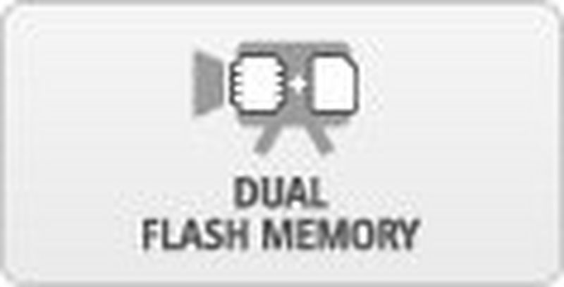 Dual Flash Memory