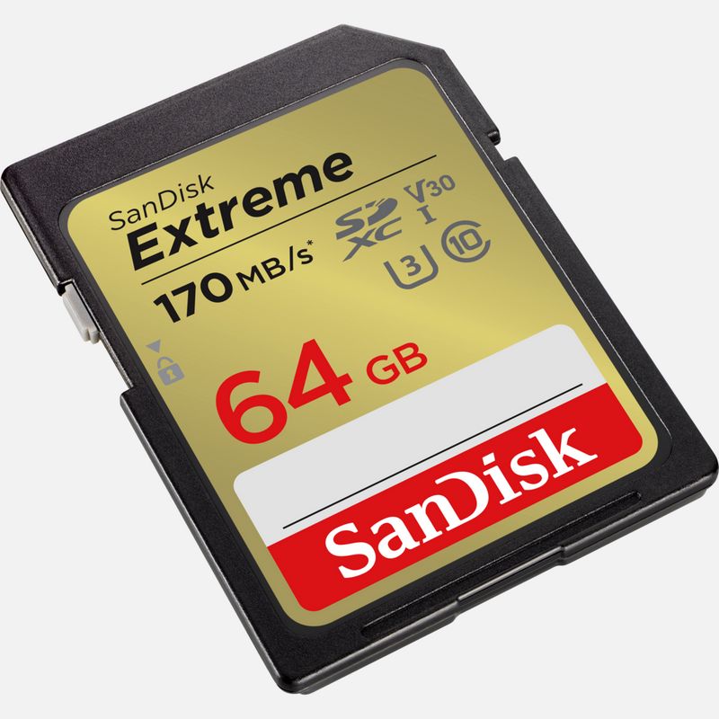 SANDISK - Carte mémoire - 64 Go Carte microSD Extreme Idéal pour les  Caméras d'Action & Drone
