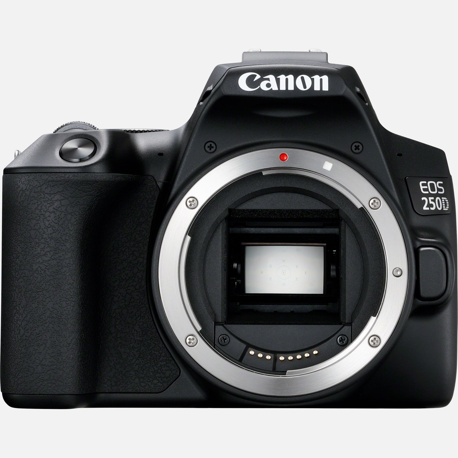 kamera canon 250d