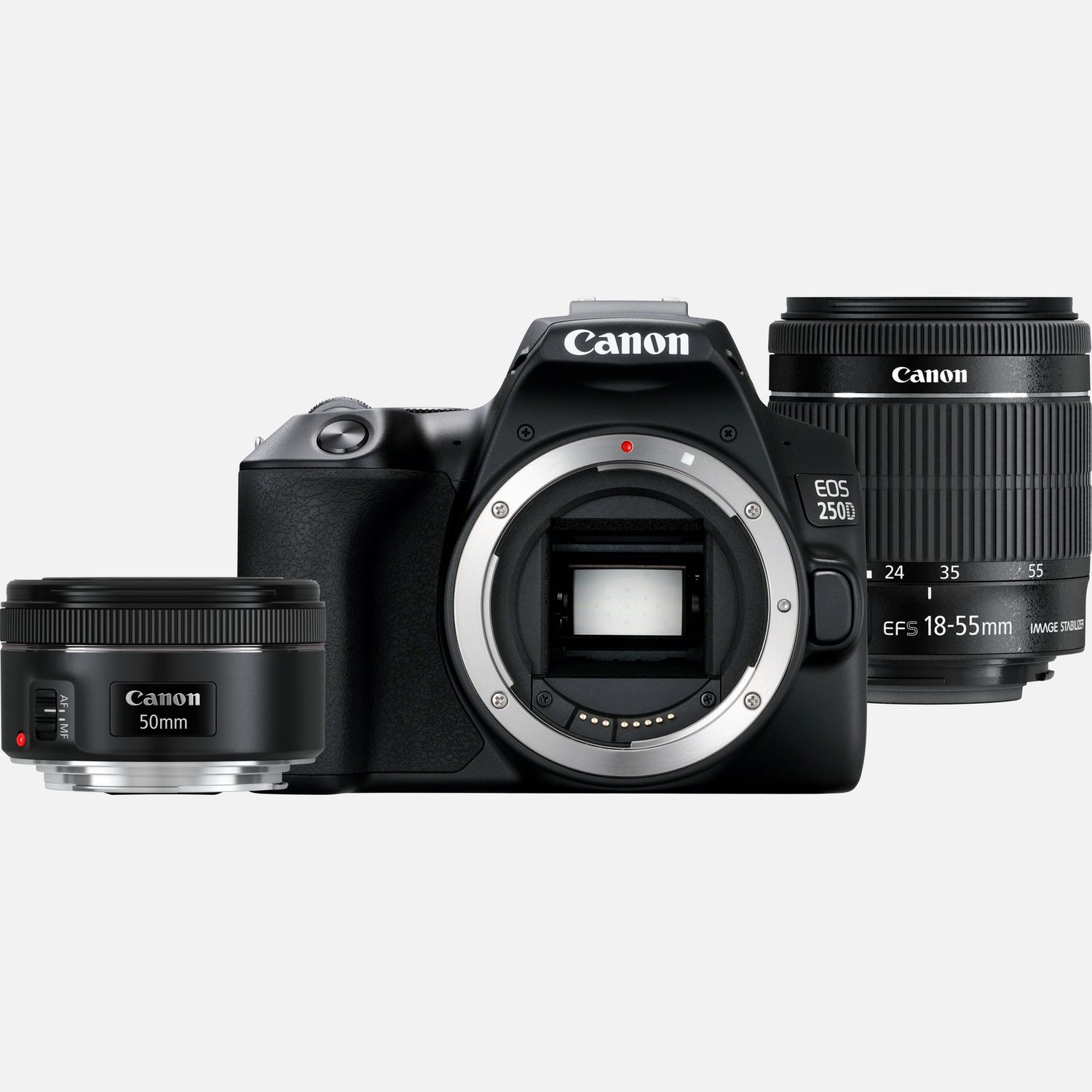 Canon EOS 250D nero + obiettivo EF-S 18-55mm F4-5.6 IS STM + obiettivo 50mm F1.8 STM