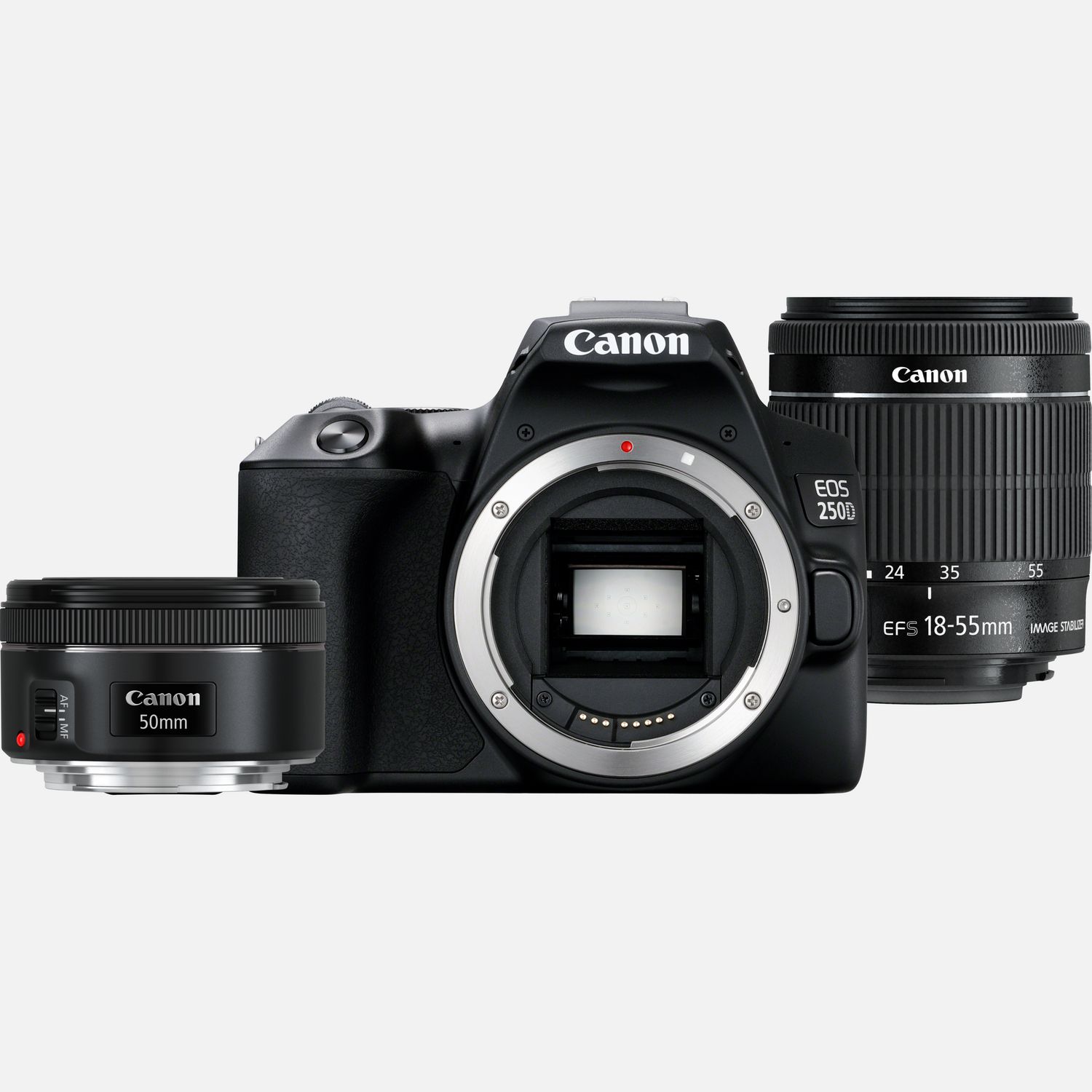Canon EOS 250D, noir + objectif EF-S 18-55mm f/4-5.6 IS STM + objectif EF 50mm f/1.8 STM