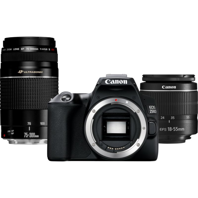 Buy Canon Eos 250d Black Ef S 18 55mm F 3 5 5 6 Iii Ef 75 300mm F 4 5 6 Iii Lens In Wi Fi Cameras Canon Uae Store