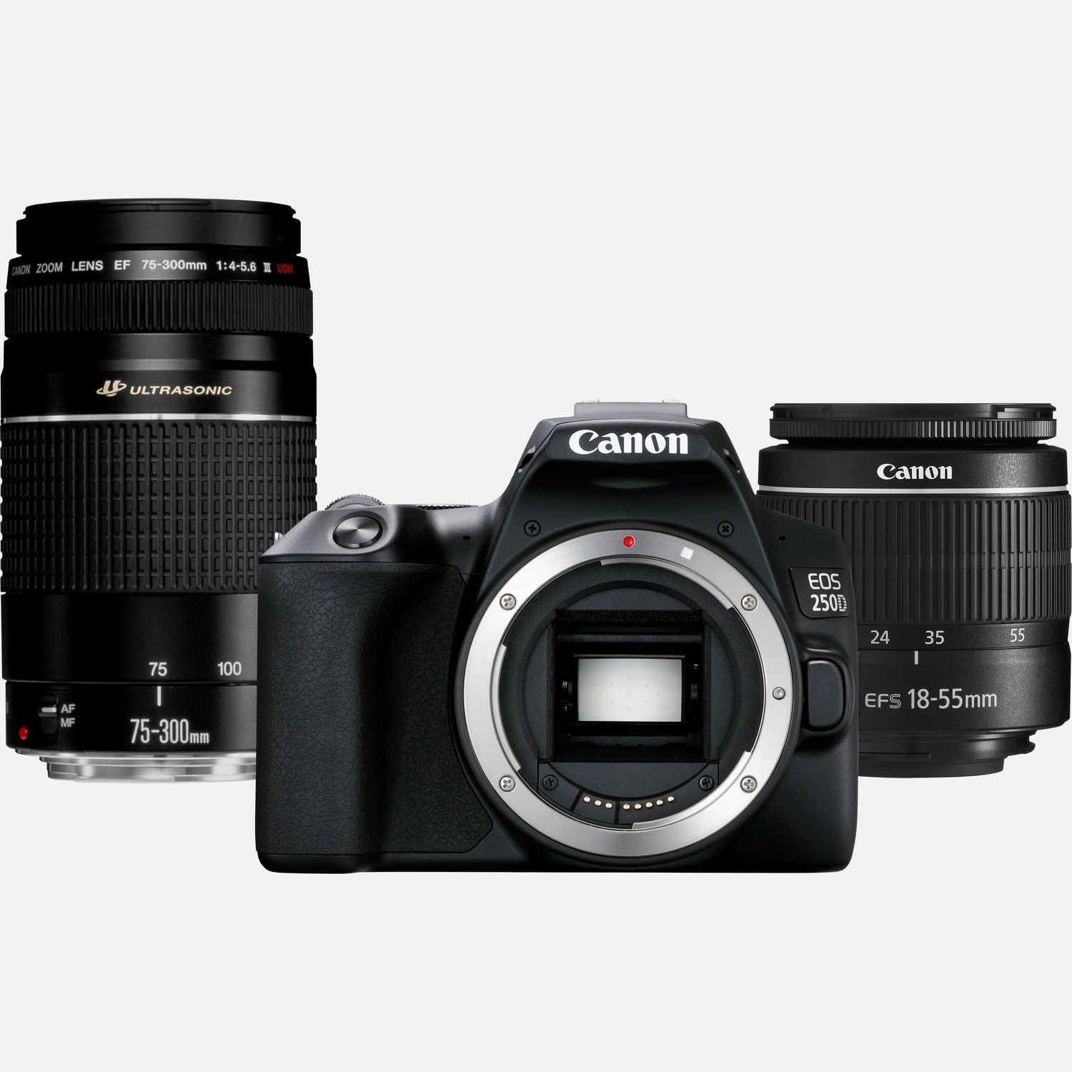 Canon Appareil photo reflex EOS 250D, noir + objectif EF-S 18-55mm f/3.5-5.6 III + objectif EF 75-300mm f/4-5.6 III