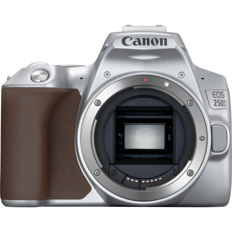 Canon EOS 250D Body, Silver + EF-S 18-55mm f/4-5.6 IS STM Lens Product From View Without Lens