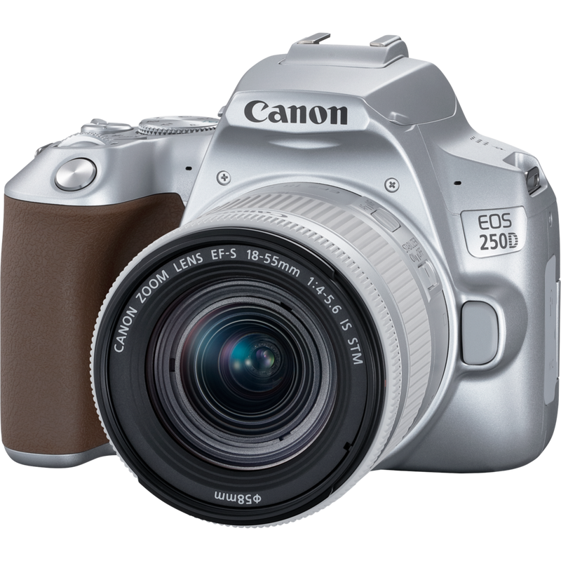 Canon EOS 250D Body, Silver + EF-S 18-55mm f/4-5.6 IS STM Lens Product Front View