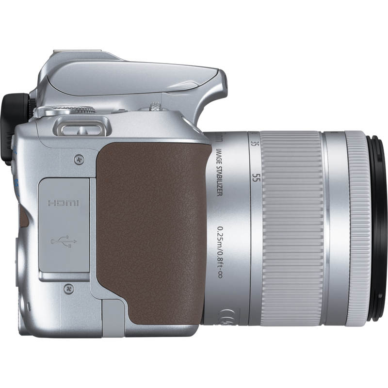 Canon EOS 250D Body, Silver + EF-S 18-55mm f/4-5.6 IS STM Lens Product Right View