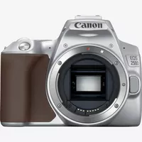Canon EOS 250D Body, Silver + EF-S 18-55mm f/4-5.6 IS STM Lens Product From View Without Lens