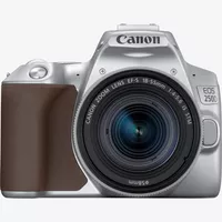 Canon EOS 250D Body, Silver + EF-S 18-55mm f/4-5.6 IS STM Lens Product Front View