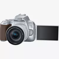 Canon EOS 250D Body, Silver + EF-S 18-55mm f/4-5.6 IS STM Lens Product Front View With Open Screen